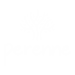 Perene